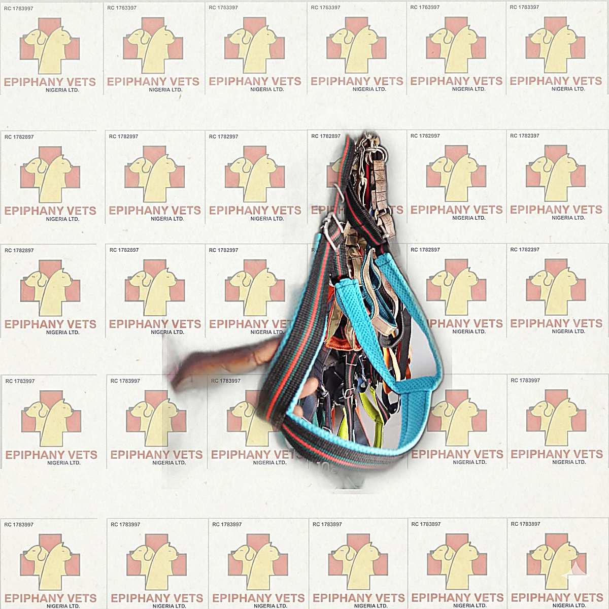 Assorted Dog Leashes