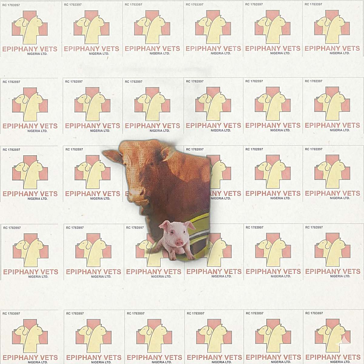 Adaferron B12 Injection 100ml