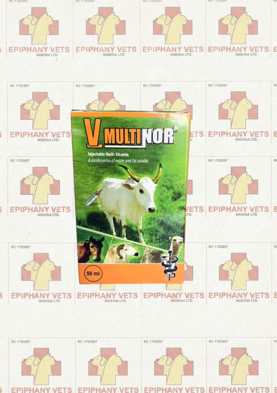 Vbnor Multivitamin 100ml