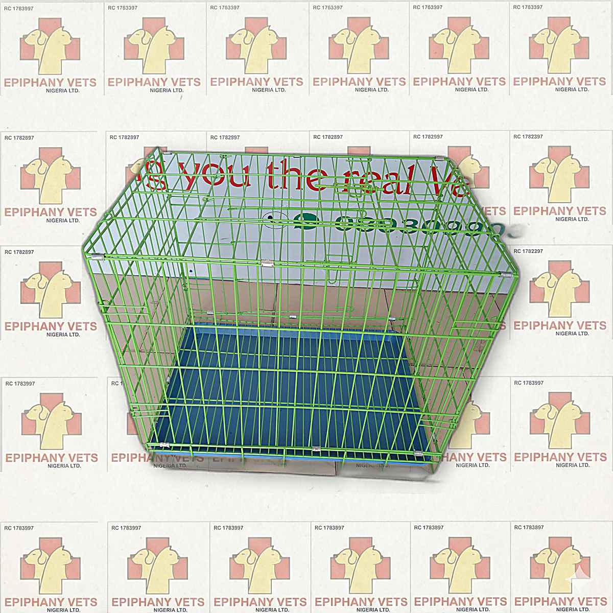 Collapsible Metal Dog Crate (Green)