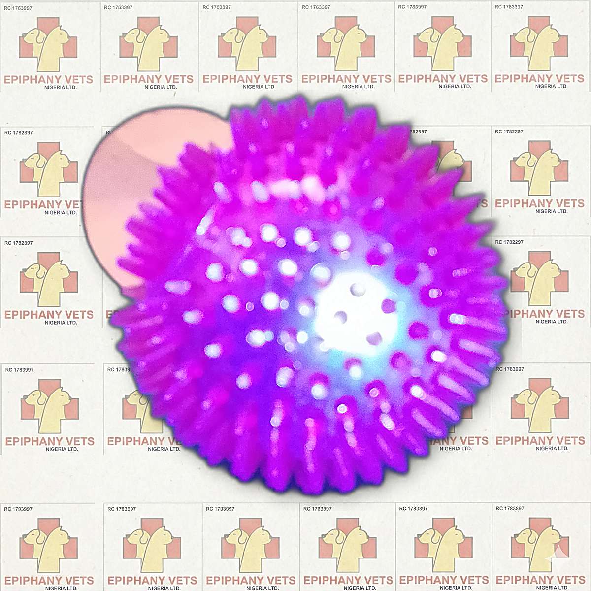 Spiky Rubber Ball Toy