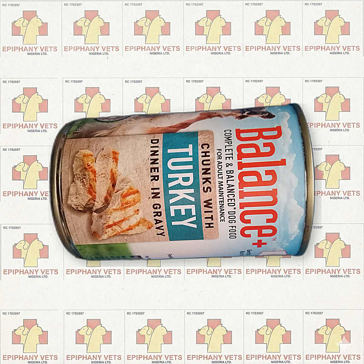 Balance+ Chunks with Turkey Can Dog Food